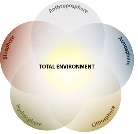 stoten impact factor